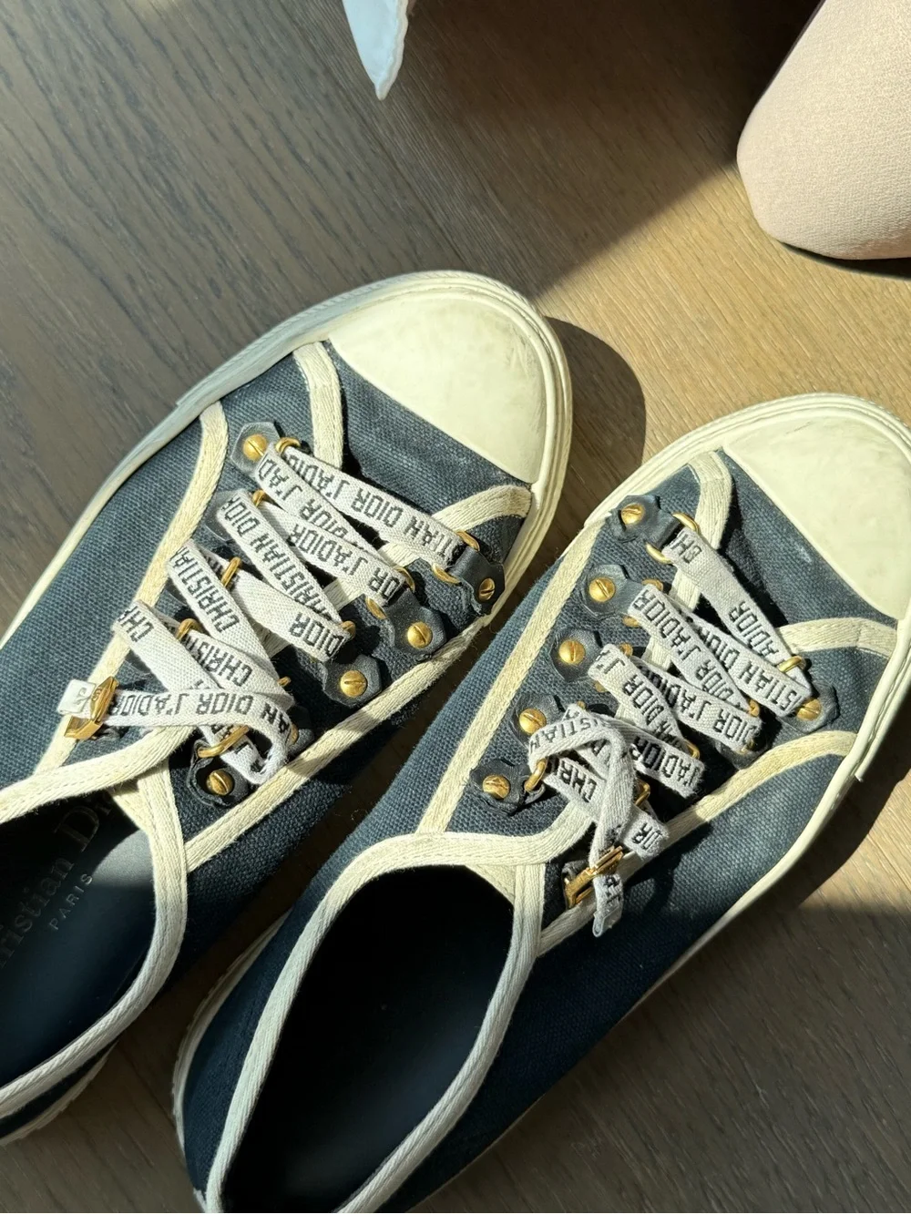 Dior Black and White Classic Sneakers